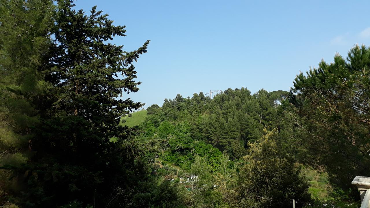 לינה וארוחת בוקר אסקולי פיצ'נו Parco Dei Gelsomini מראה חיצוני תמונה